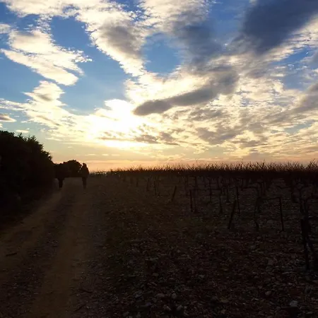 Les Safres Rousset-les-Vignes
